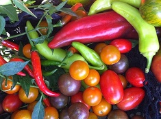 Farm Produce